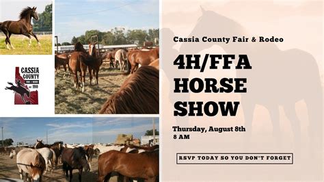 cassia county fair horse races sportsbook review|Cassia County Fair – Idaho Horse Racing.